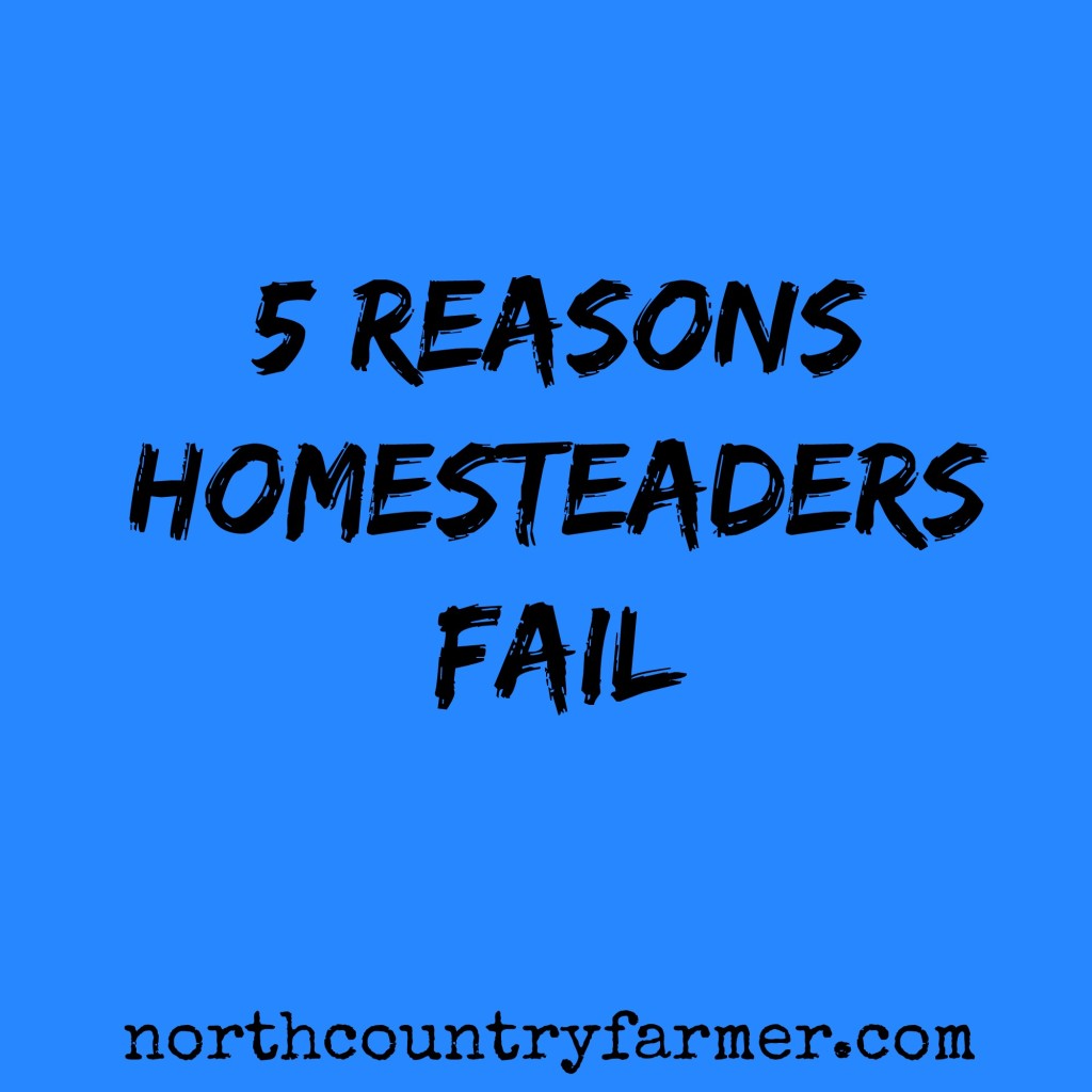 5 Reasons Homesteaders Fail