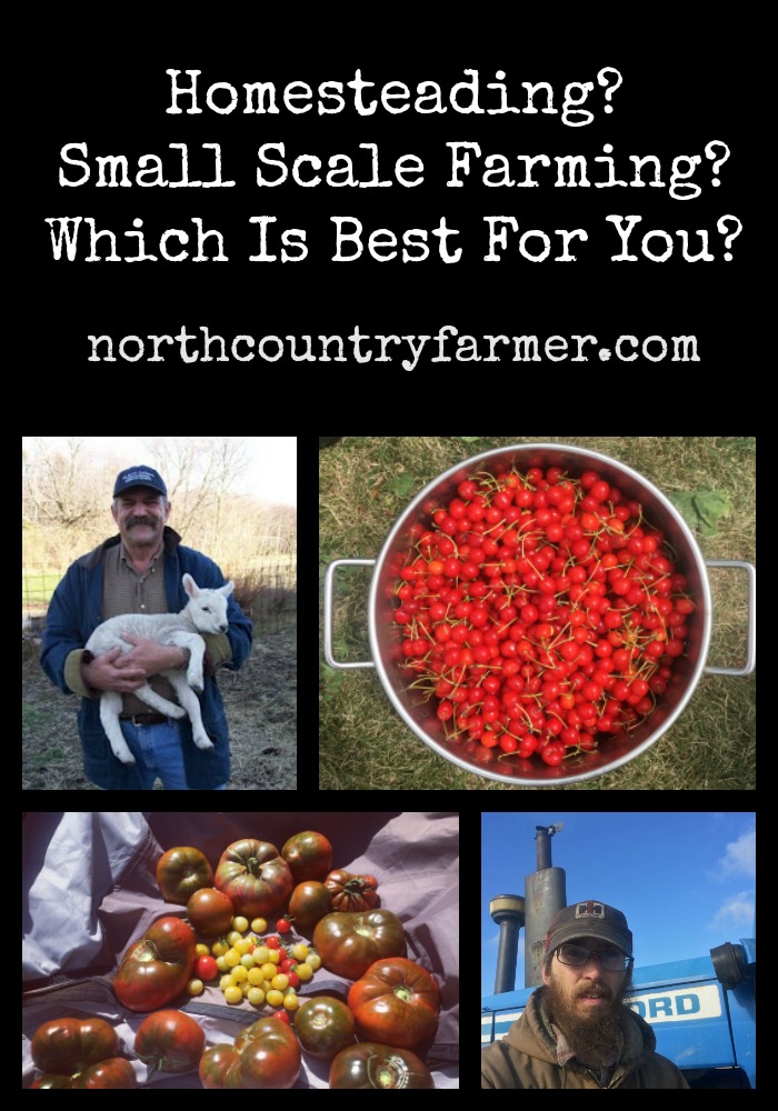 Homesteading or Small Scale Farming, Which is Right For You