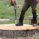 Tree Removal Sydney Services That Protect Your Home and Landscape