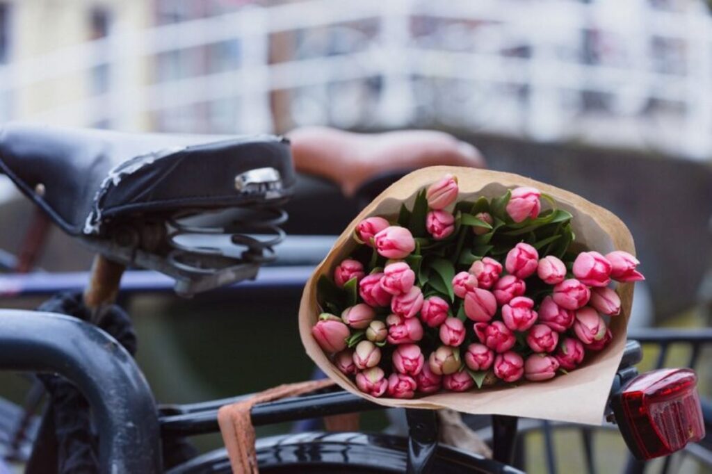 chatswood flowers