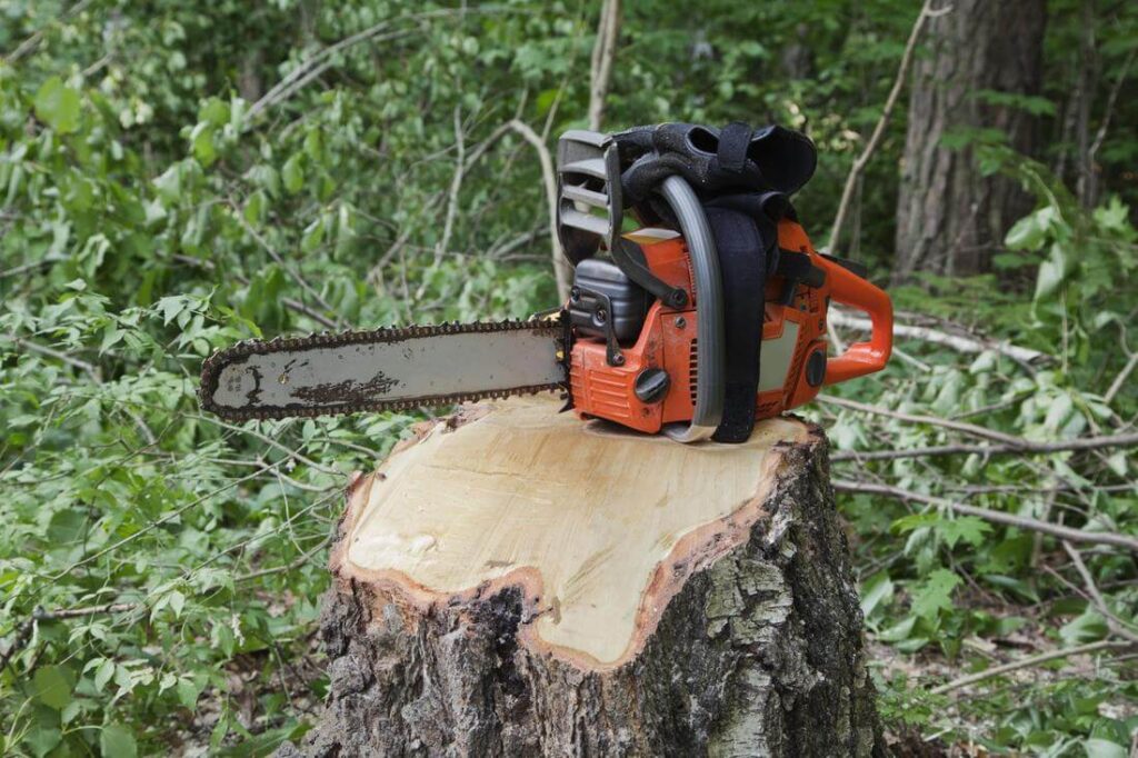 Tree Removal Sydney Services