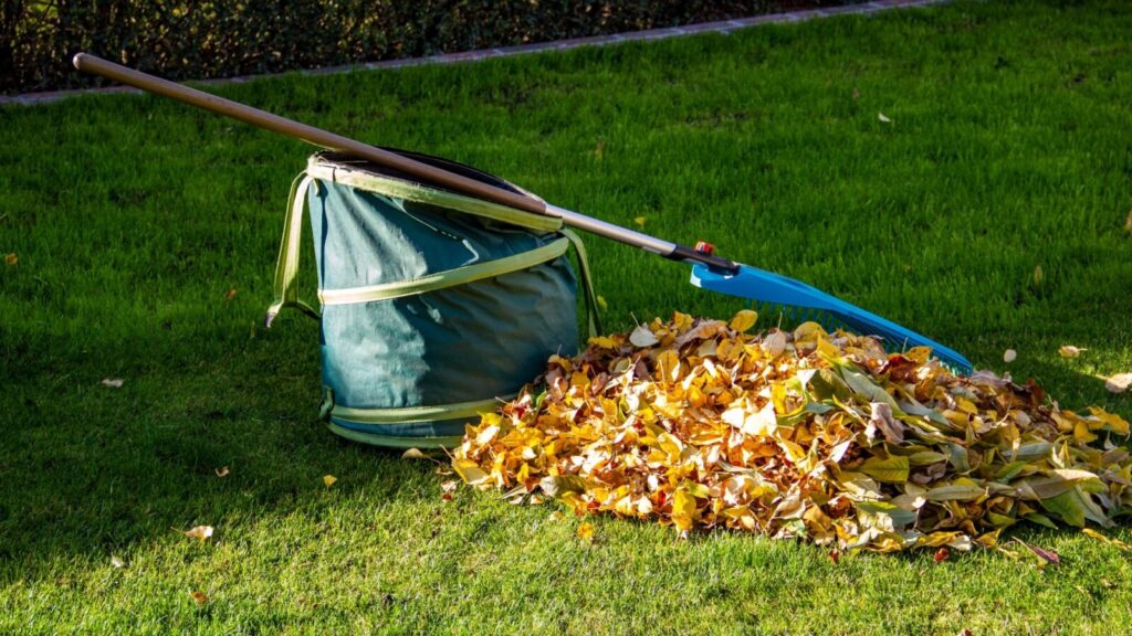 Green Waste Removal