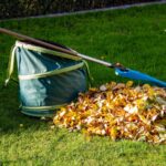 Green Waste Removal Cost: What You Need to Know Before Booking