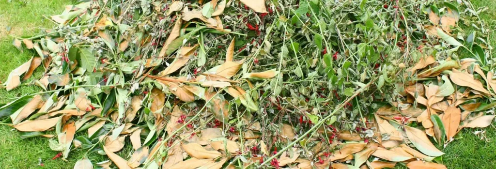 Green Waste Removal Trends