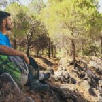How to Book Affordable Tree Removal in the Hills District