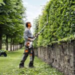 What Is Hedge Shaping and Why Does It Make Such a Huge Difference to Garden Design?