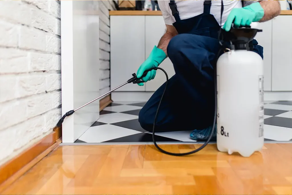 mice removal sydney