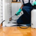 Mice Removal Sydney Tips from Local Pest Specialists
