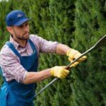 Hedge Trimming Sydney: 10 Ways to Keep Hedges Neat Without Damaging Growth