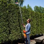 Tree Removal Costs in 2026: A Full Price Breakdown for Small to Extra-Large Trees