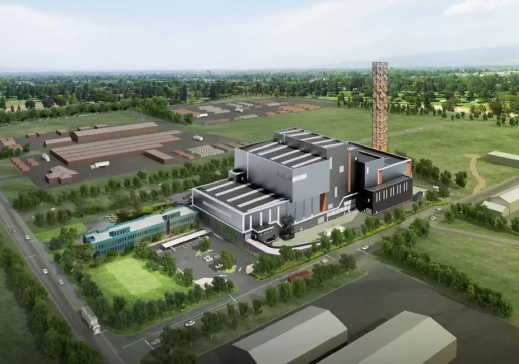 Tree Pruning Sydney vs. DIY Trimming: Protect Your Landscape