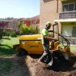 Where Can I Find Firewood Near Me in Sydney with Fast Delivery?