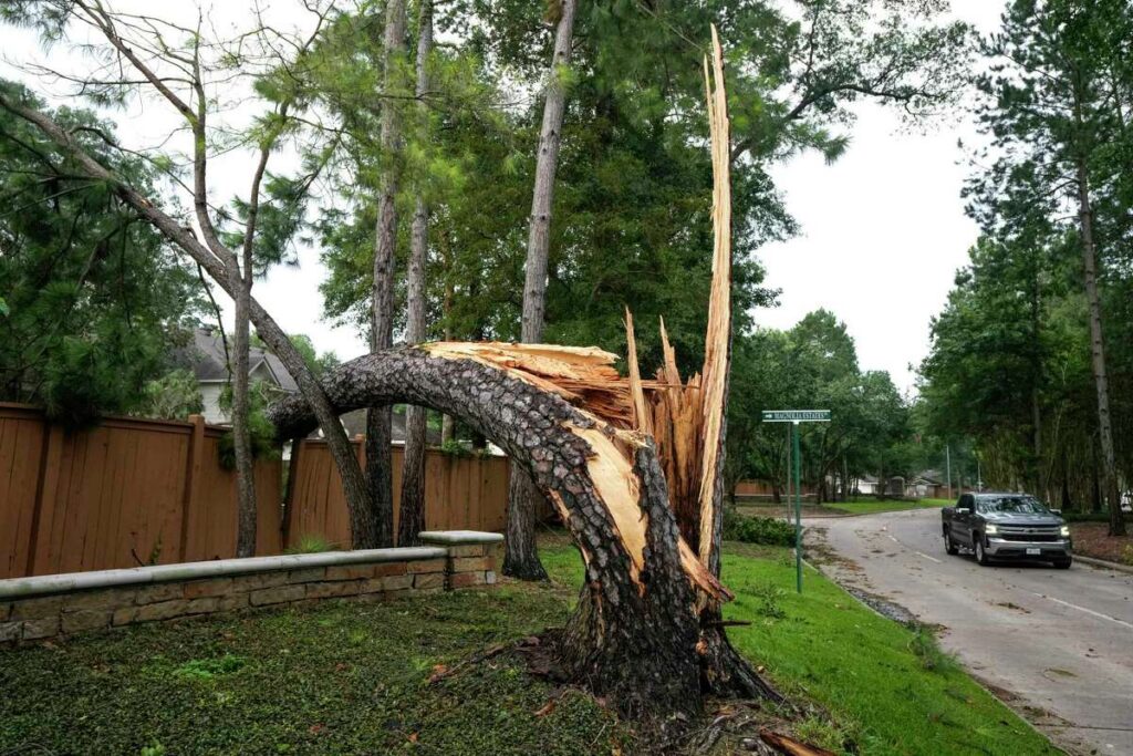 Tree Removals For Storm Damage