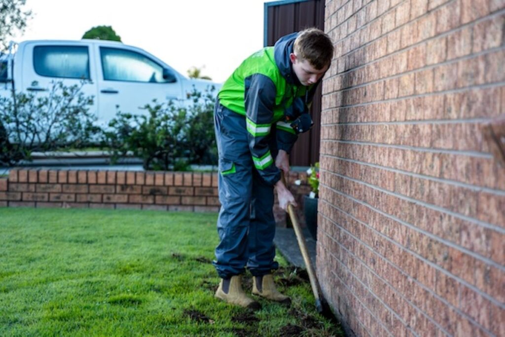 termite pest control sydney