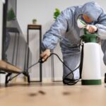From Booking to Treatment: How a Pest Control Service Sydney Homeowners Rely On Works