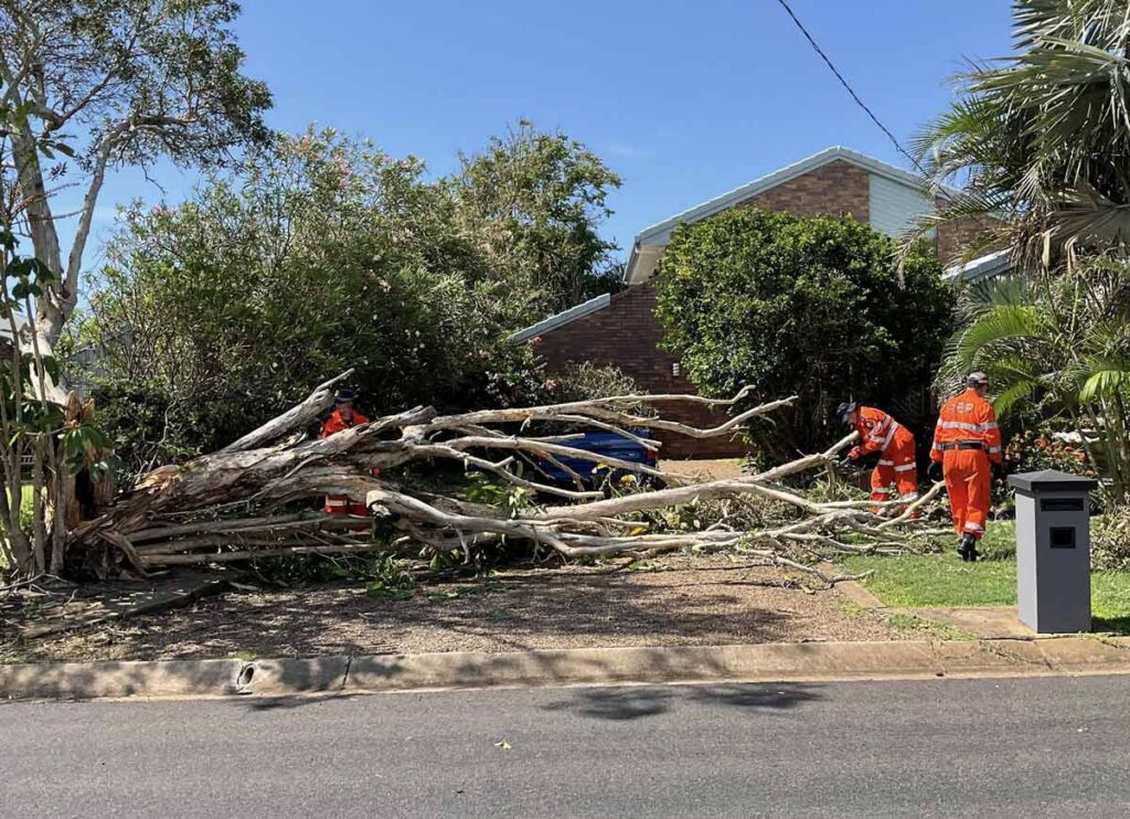 Tree Removals For Storm Damage