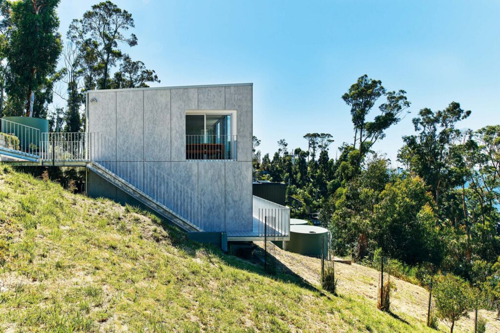 Tree Removal Blue Mountains: Bushfire, Regulation and Steep Country