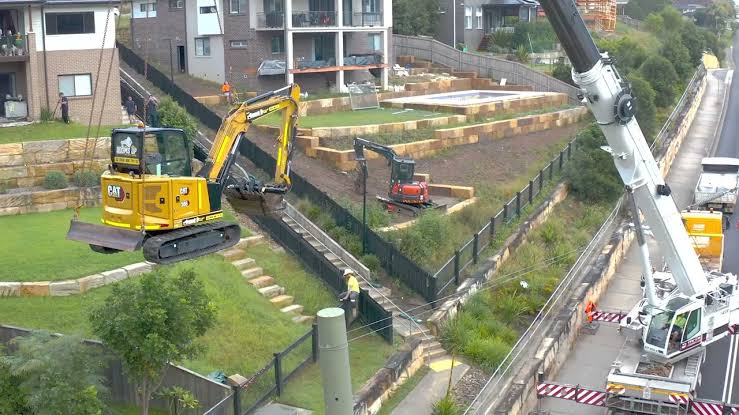 Tree Removal Central Coast: From Gosford to Wyong and Everywhere Between

