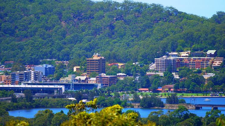 Tree Removal Central Coast: From Gosford to Wyong and Everywhere Between

