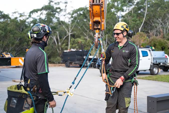 Sydney stump grinding