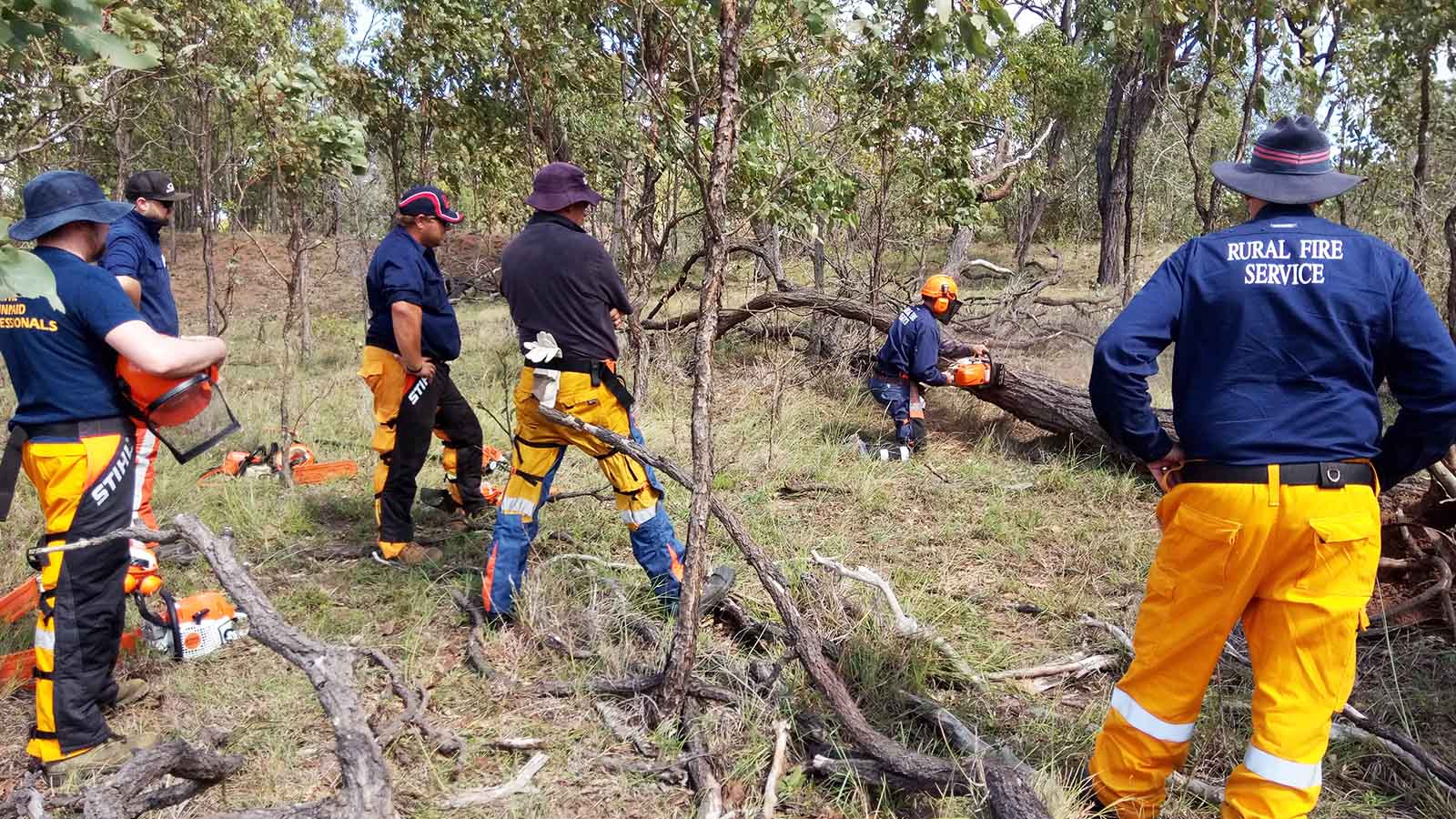 Tree Removal Blue Mountains: Bushfire, Regulation and Steep Country