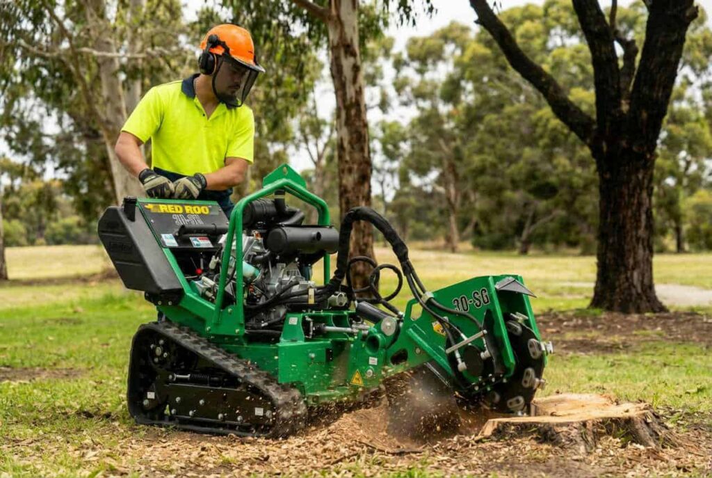 Tree Removal Inner West: Working Around Terraces, Laneways and Tight Blocks