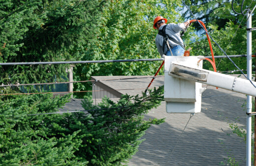 What Should Pruning Services Near Me Include in a Quote?